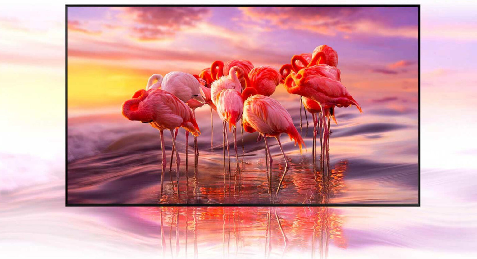 telewizor samsung w promocji