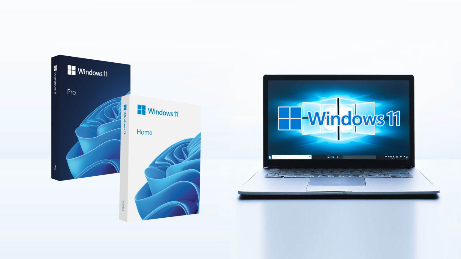 Gdzie kupić Windows 11