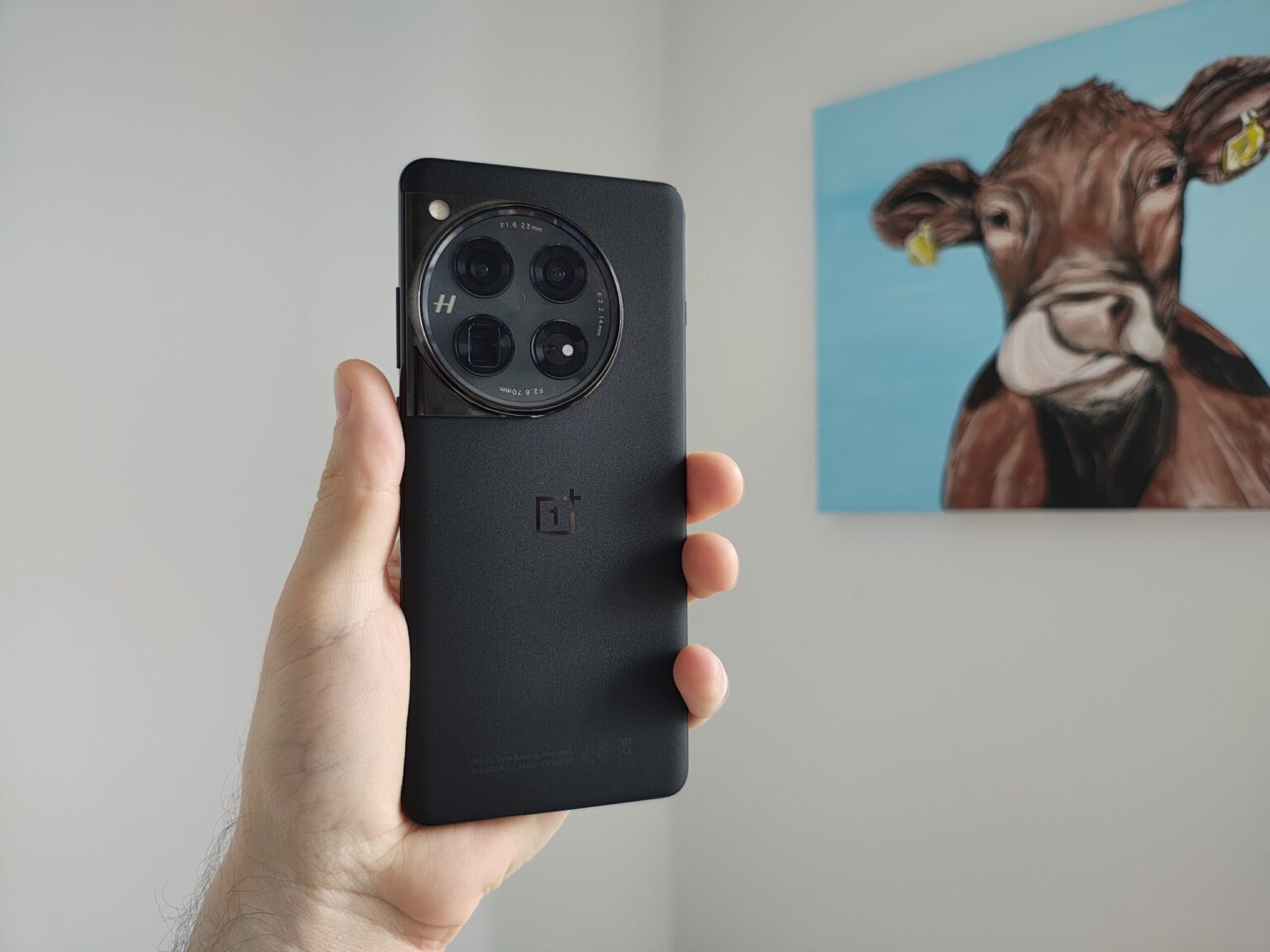 Czy OnePlus 12 to król smartfonowej fotografii? Testuję teleobiektyw 64 Mpix z 3-krotnym zoomem optycznym OnePlus 12 zdjęcie smartfonu