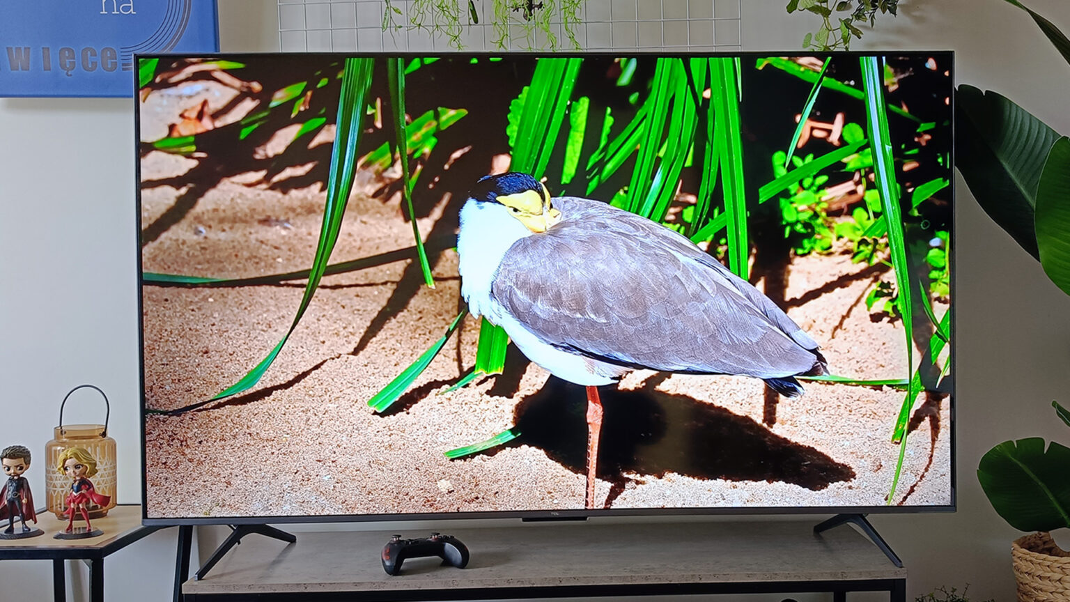 Tańszy niż myślisz, lepszy niż oczekujesz? Testuję telewizor TCL 65C69K